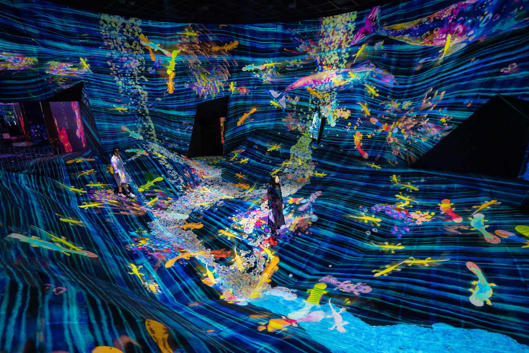 Teamlab Macao Inverted Graffiti Nature