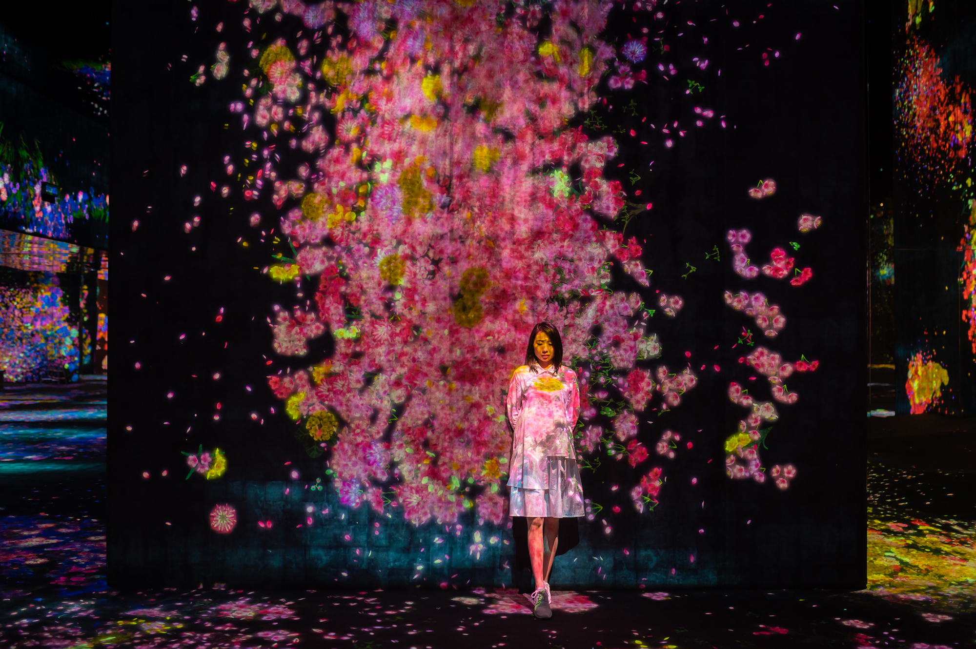 Teamlab Macao Valley of Flowers and People Lost, Immersed and Reborn