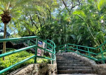 Mong Ha Municipal Park Stairs Macau Lifestyle