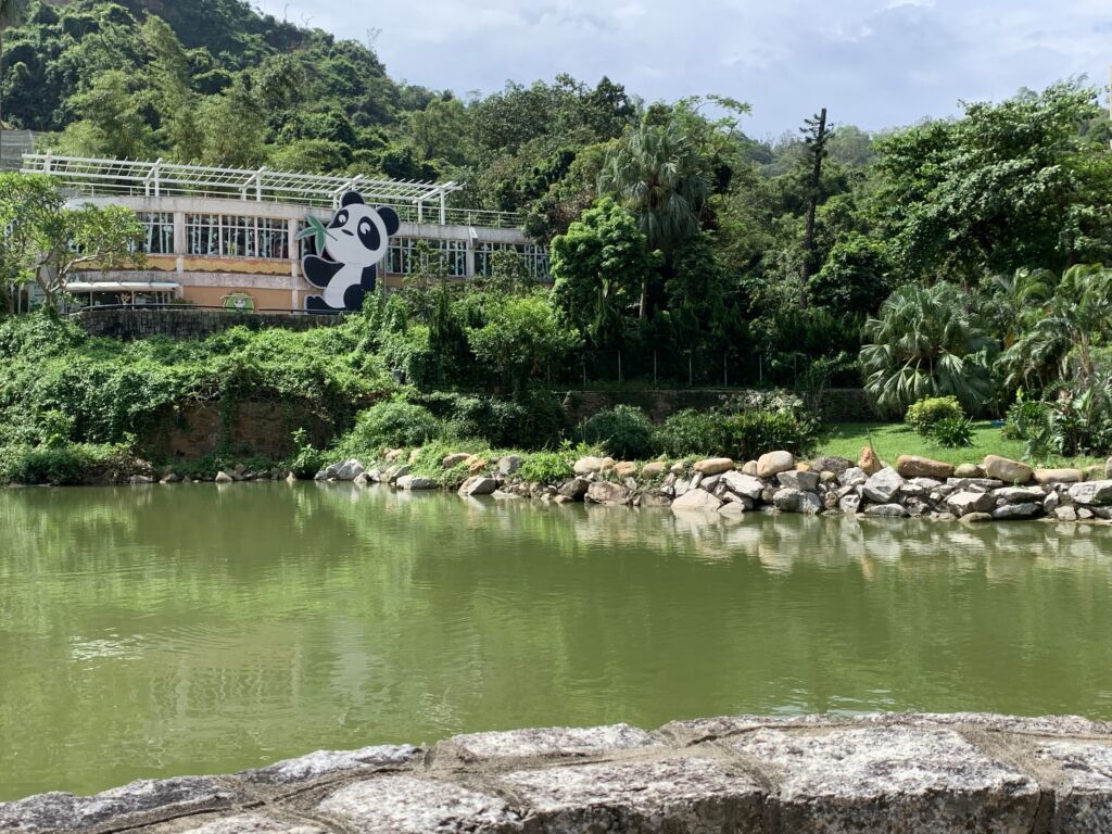 Seac Pai Van Park Macau Giant Panda Pavilion fish pond