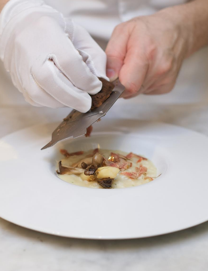 Acquerello risotto and gold with artichoke, Japanese mushroom and white truffle The Manor