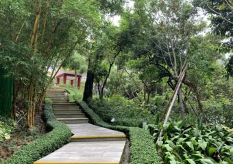 Seac Pai Van Park trail bamboo grove and hill