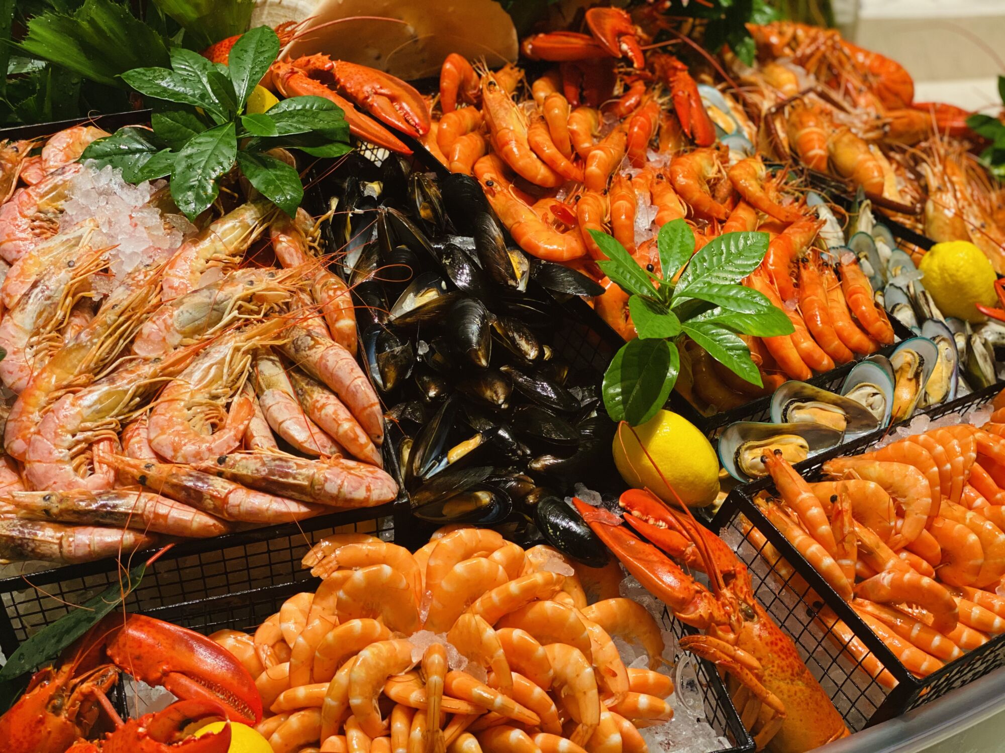 Christmas Offers Sofitel Macau At Ponte 16 seafood mistral Where to Eat Macau December