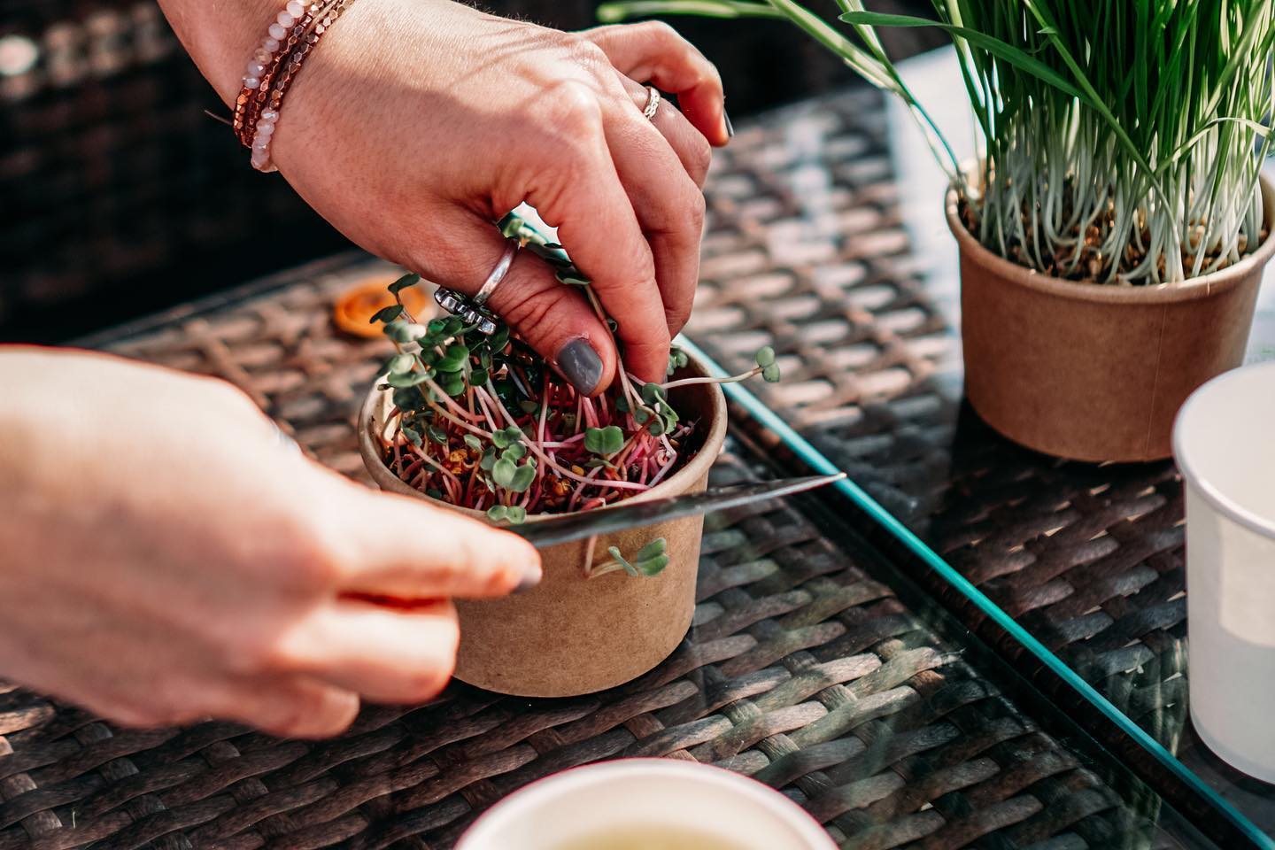 microgreens cuting