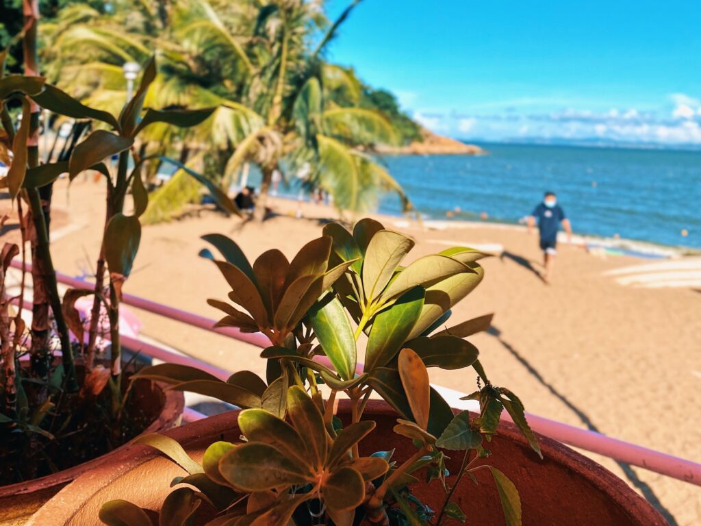 ristorante-la-gondola-cheoc-van-beach-coloane-macau-summer-plants