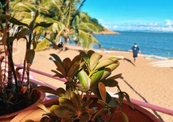 ristorante-la-gondola-cheoc-van-beach-coloane-macau-summer-plants