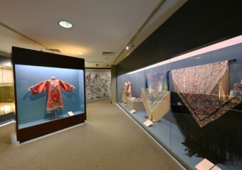Qing and Ming Dynasties Exhibitions Clothing