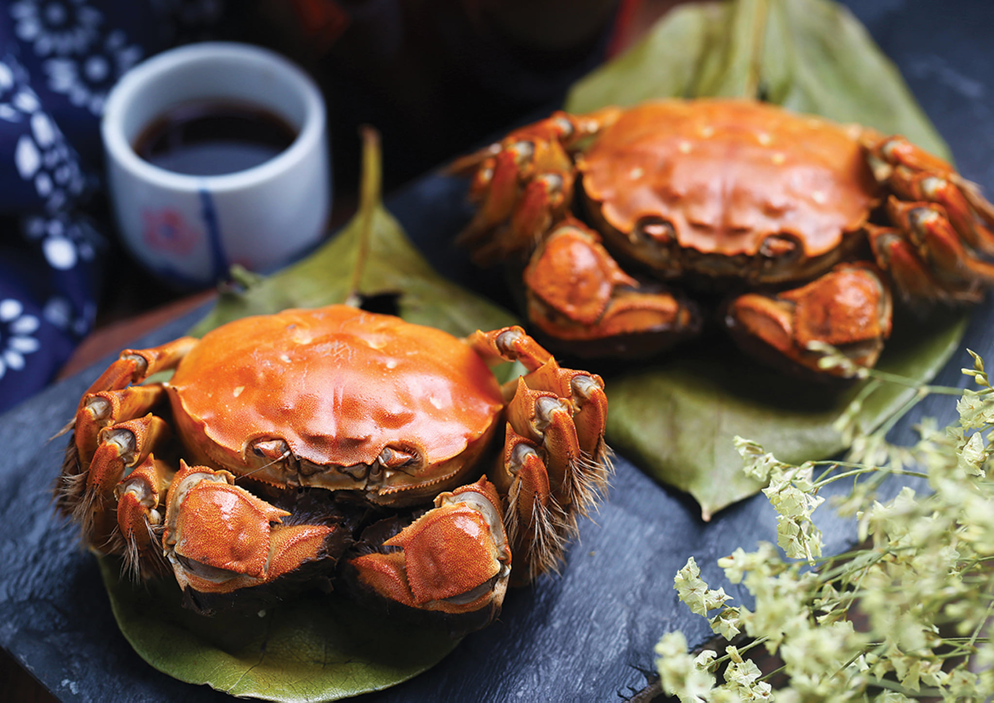 Ying at Altira Macau Hairy Crabs