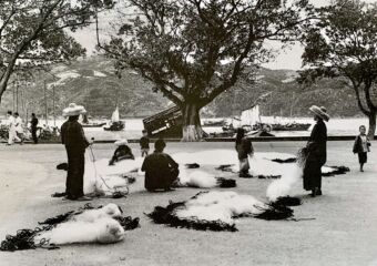 Old Macau photos Coloane Village Workers Arranging Fishing Nets Near the Water, Photo by Lee Yuk Tin (1925–58)